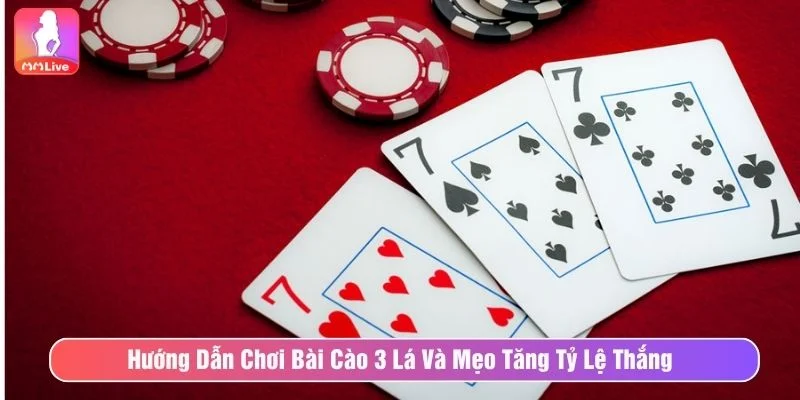 Bài cào 3 lá