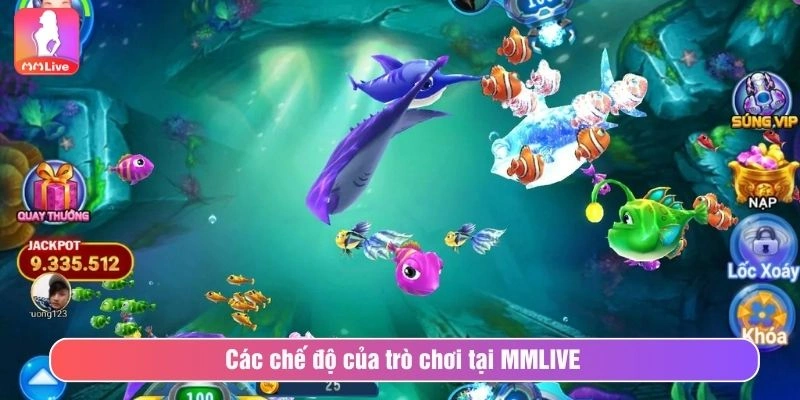 YB Truyền Thuyết Phượng Hoàng Giải Trí Đa Dạng Và Đẳng Cấp Các chế độ của trò chơi tại MMLIVE
