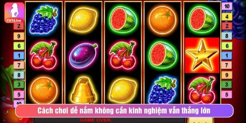 PP Slot Trái Cây MMLive - Tựa Game Thưởng Khủng, Đẳng Cấp Cách chơi dễ nắm không cần kinh nghiệm vẫn thắng lớn