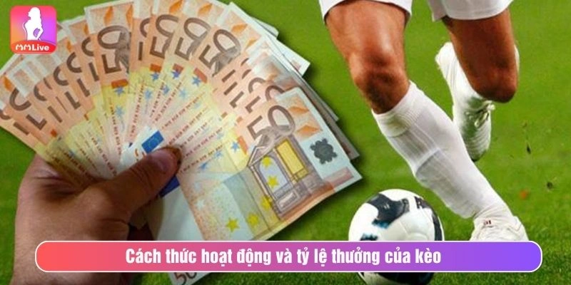 Kèo Hai Đội Ghi Bàn Tại MMLIVE Với Cách Chơi Và Mẹo Thắng Cách thức hoạt động và tỷ lệ thưởng của kèo