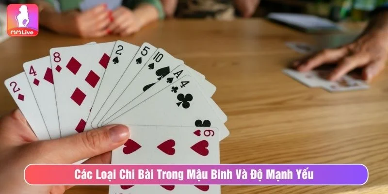 Hướng Dẫn Mẹo Xếp Bài Mậu Binh Tăng Tỷ Lệ Chiến Thắng Tìm hiểu về các chi trong bài mậu binh