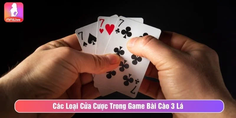 Hướng Dẫn Chơi Bài Cào 3 Lá Và Mẹo Tăng Tỷ Lệ Thắng Trò chơi có nhiều cửa cược đa dạng